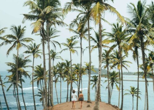 Island Bliss (L01)