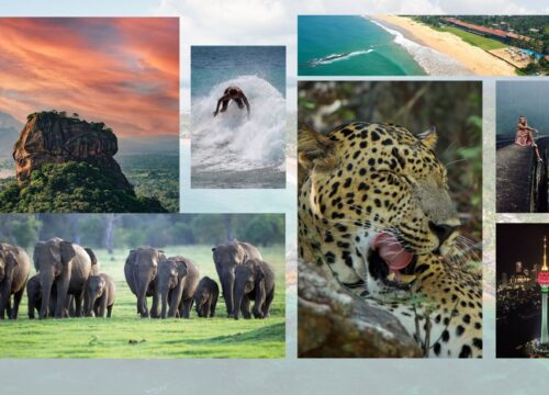 Why Sri Lanka Should Be Your Top Travel Destination in 2025