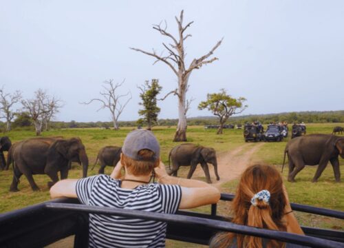 A Luxury Family Adventure – 10 days