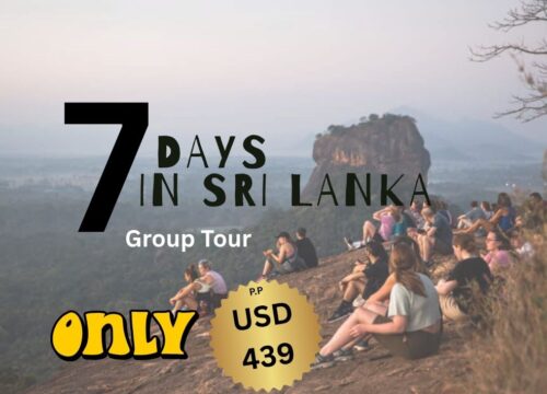 7 Days Group Tour